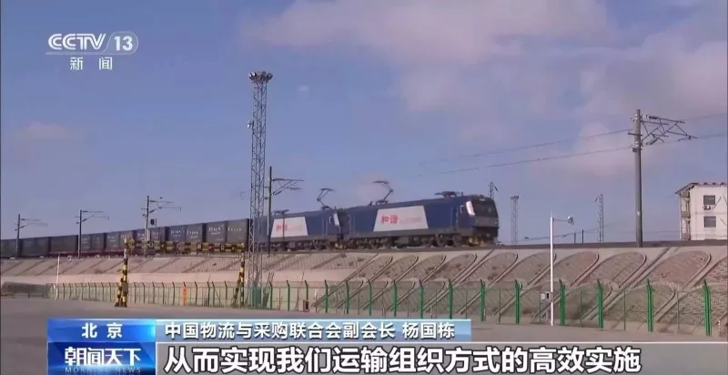 XINWEN3 (3)